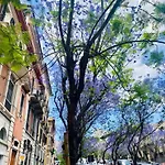 公寓 Casa Amita 卡利亚里