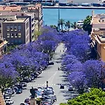Casa Amita 公寓 卡利亚里